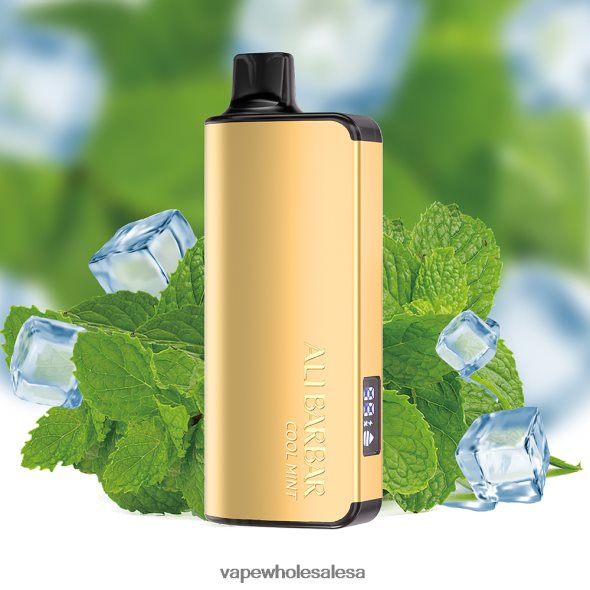 Vape Wholesale Prices - Alibarbar Ingot 9000 Disposable Vape Cool Mint 840TXH18