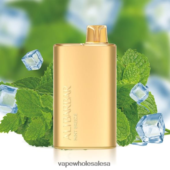 Vape Wholesale Prices - Alibarbar Rich 8000 Disposable Vape Mint Breeze 840TXH8