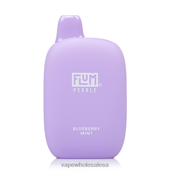 Vape Wholesale Price List - FLUM PEBBLES 6000 PUFFS Blueberry Mint 4Z4HP23
