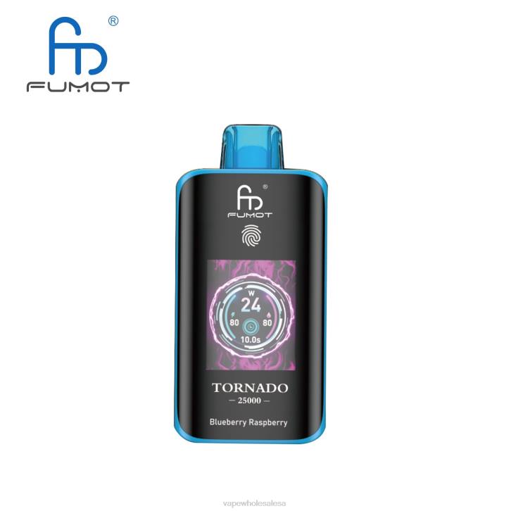 Vape Wholesale Price List - Fumot Tornado 25000 Disposable Vape Blueberry Raspberry R6063