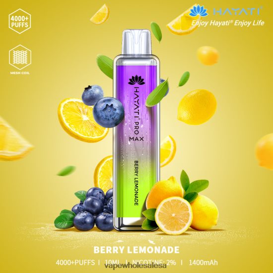 Berry Lemonade