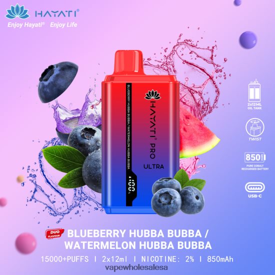 Blueberry Hubba Bubba/Watermelon Hubba Bubba