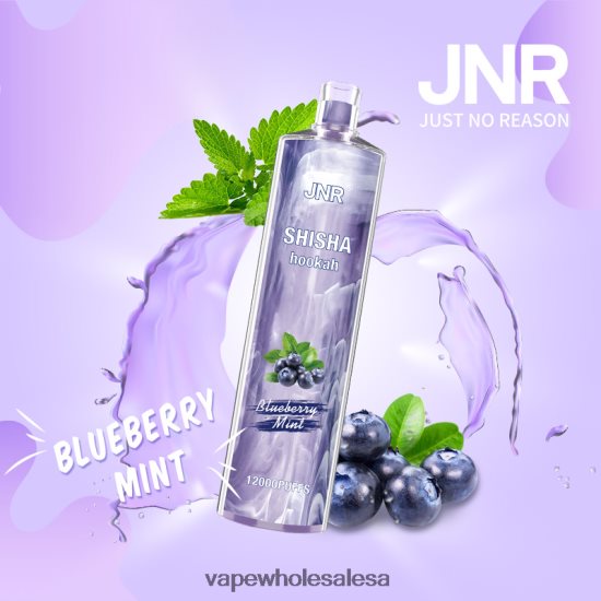 Vape Wholesale South Africa 6ZT848672 Blueberry Mint JNR SHISHA