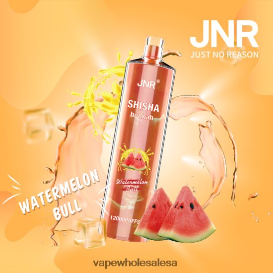 Vape Wholesale South Africa 6ZT848692 Watermelon Bull JNR SHISHA
