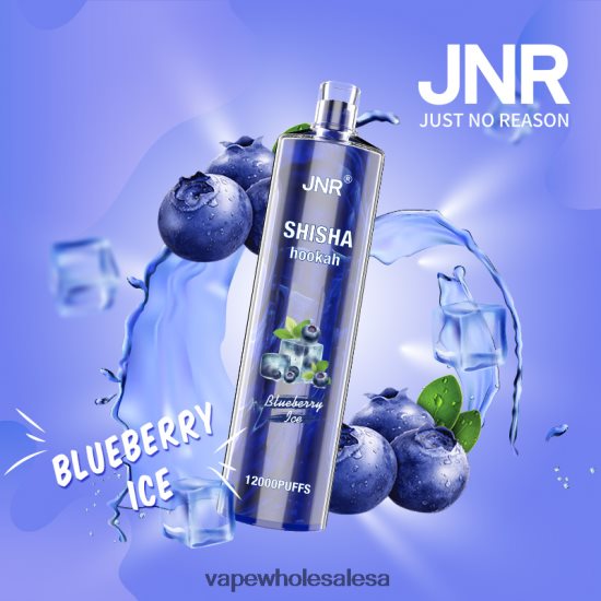 Vape Wholesale Suppliers 6ZT848671 Blueberry Ice JNR SHISHA