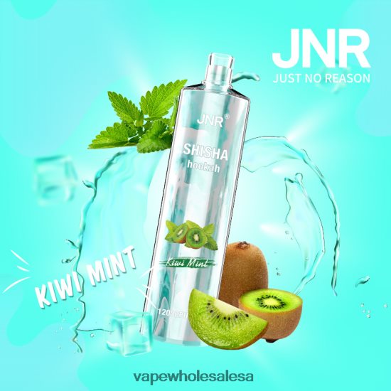 Vape Wholesale Suppliers 6ZT848681 Kiwi Mint JNR SHISHA