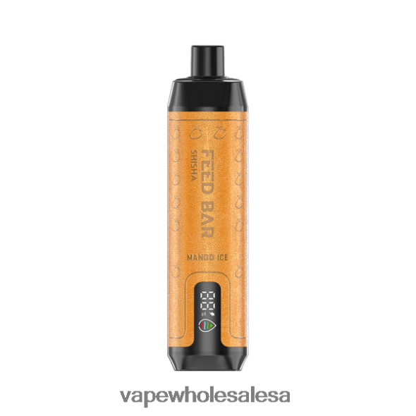 Vape Wholesale Price List - Vapsolo SHISHA Disposable Vape Mango Ice 840TXH103