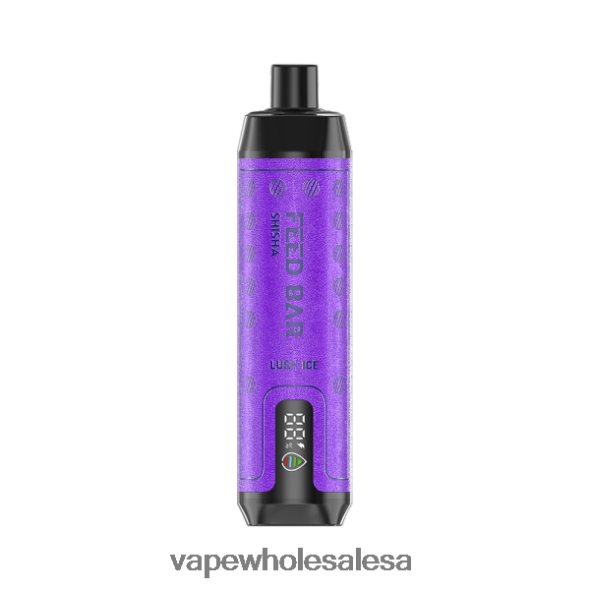 Vape Wholesale South Africa - Vapsolo SHISHA Disposable Vape Lush Ice 840TXH102