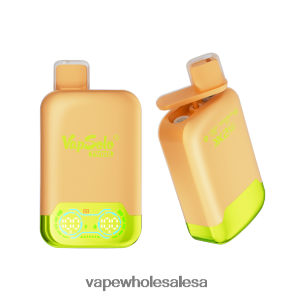 Vape Wholesale Price List - Vapsolo TWINS Disposable Vape Lemone Lime & Watermelon Ice 840TXH123