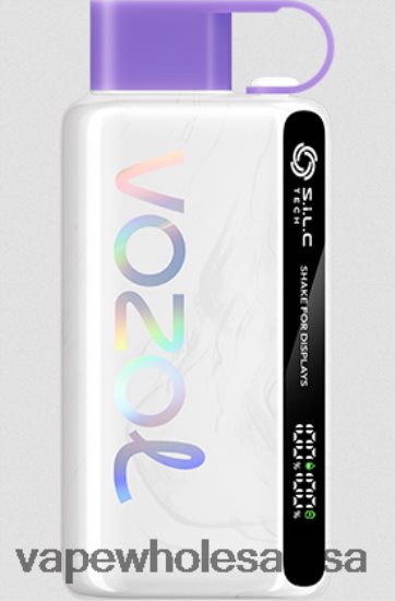 Vape Wholesale Price List 6ZT84813 Grape Ice VOZOL STAR 9000/12000 5%