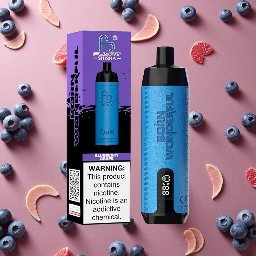 RandM Fumot Shisha 10000 Puffs Blueberry Grape Disposable Vape 18ml Prefilled E-liquid