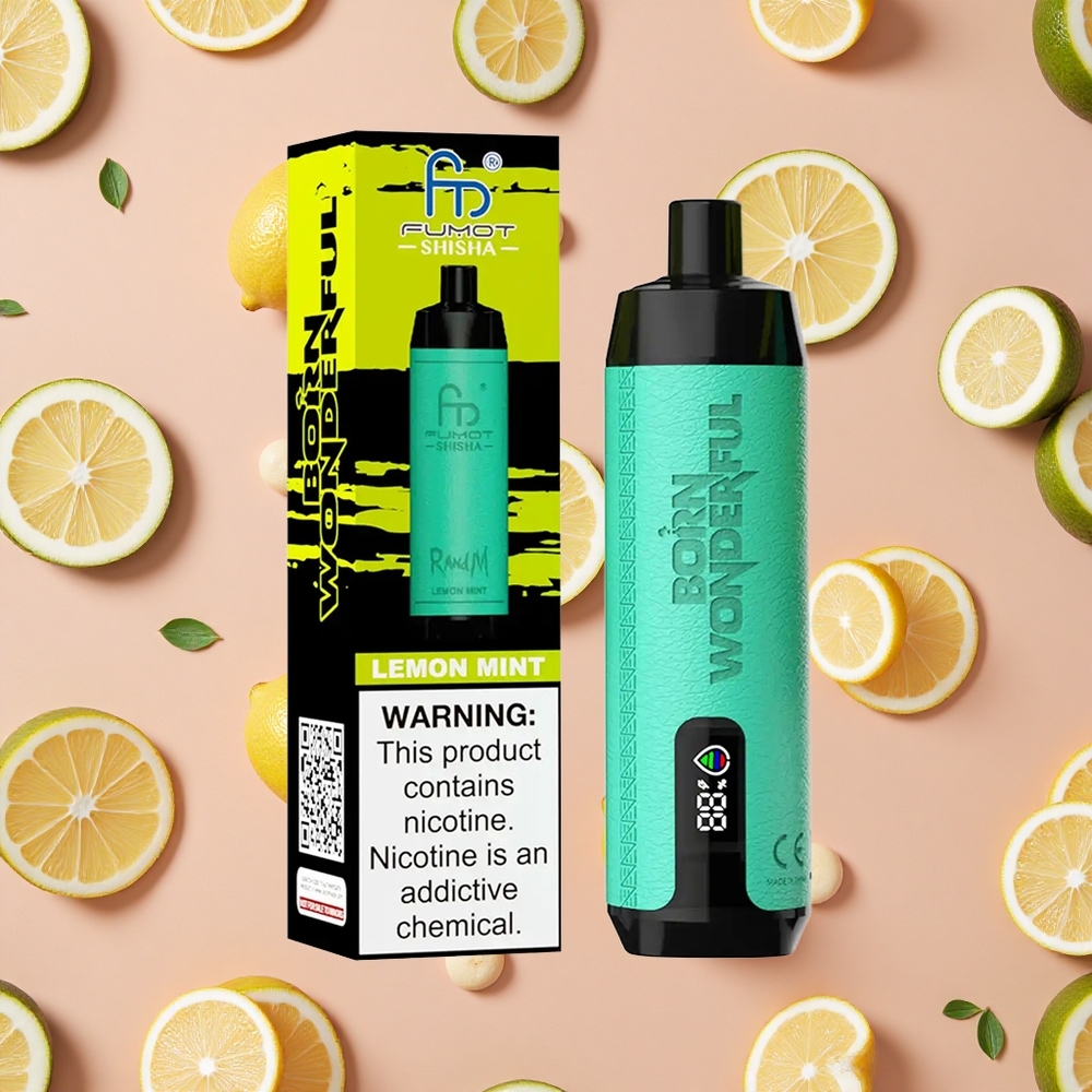 RandM Fumot Shisha 10000 Puffs Lemon Mint 18ml Prefilled E-liquid Type-C Port