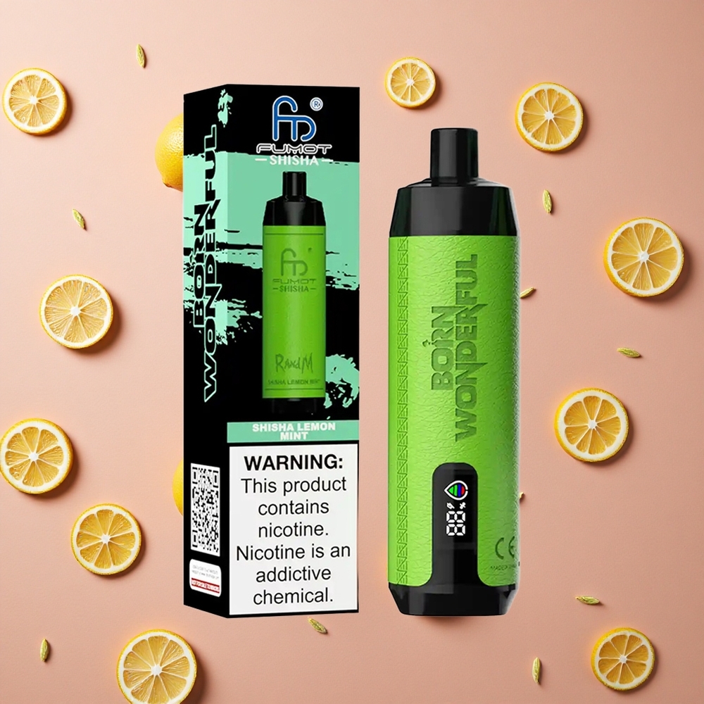 RandM Fumot Shisha 10000 Puffs Lemon Mint Disposable Vape Shisha 18ml Prefilled E-liquid Type-C